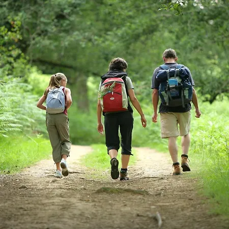 Hirondelle Jacuzzi & Luxury 12 Pers By Alpvision Residences シャレー ヴェゾナ