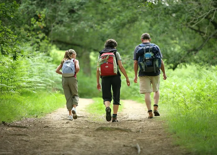 Hirondelle Jacuzzi & Luxury 12 Pers By Alpvision Residences Chalet Veysonnaz